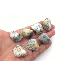 Opal Dendrytowy